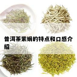 普洱茶紫娟的特点和口感介绍