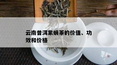 云南普洱紫娟茶的价值、功效和价格