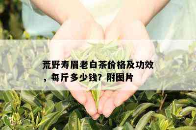 荒野寿眉老白茶价格及功效，每斤多少钱？附图片