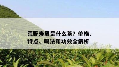 荒野寿眉是什么茶？价格、特点、喝法和功效全解析