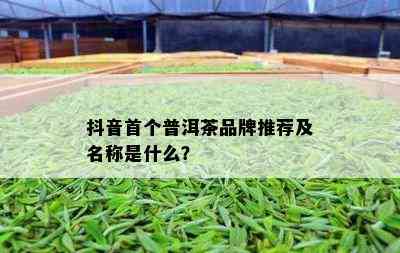 抖音首个普洱茶品牌推荐及名称是什么？