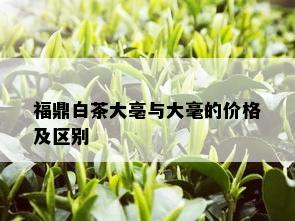 福鼎白茶大亳与大毫的价格及区别