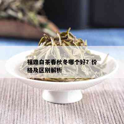 福鼎白茶春秋冬哪个好？价格及区别解析