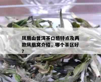 凤凰山普洱茶口感特点及两款凤凰窝介绍，哪个茶区好？