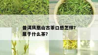 普洱凤凰山古茶口感怎样？属于什么茶？