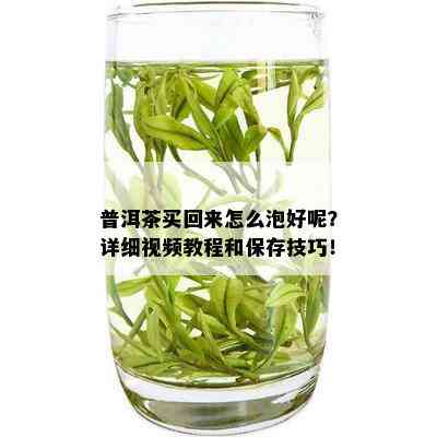 普洱茶买回来怎么泡好呢？详细视频教程和保存技巧！