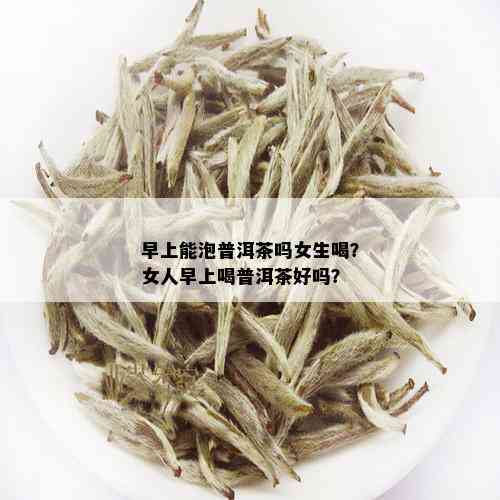 早上能泡普洱茶吗女生喝？女人早上喝普洱茶好吗？