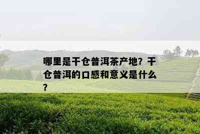 哪里是干仓普洱茶产地？干仓普洱的口感和意义是什么？