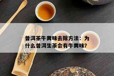 普洱茶牛粪味去除方法：为什么普洱生茶会有牛粪味？