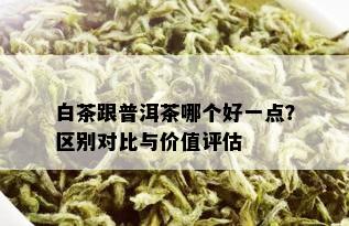 白茶跟普洱茶哪个好一点？区别对比与价值评估