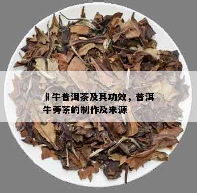 犇牛普洱茶及其功效，普洱牛蒡茶的制作及来源