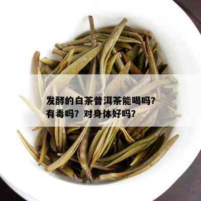 发酵的白茶普洱茶能喝吗？有吗？对身体好吗？