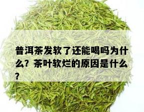 普洱茶发软了还能喝吗为什么？茶叶软烂的原因是什么？