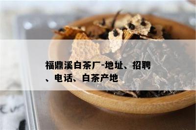 福鼎溪白茶厂-地址、招聘、电话、白茶产地