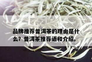 品牌推荐普洱茶的理由是什么？普洱茶推荐语和介绍。