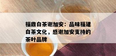 福鼎白茶谢加安：品味福建白茶文化，感谢加安支持的茶叶品牌