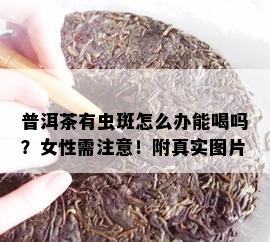 普洱茶有虫斑怎么办能喝吗？女性需注意！附真实图片