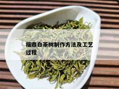 福鼎白茶树制作方法及工艺过程