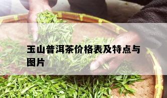 玉山普洱茶价格表及特点与图片