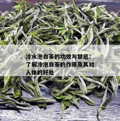 冷水泡白茶的功效与禁忌：了解冷泡白茶的作用及其对人体的好处