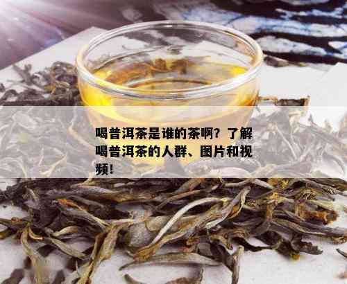 喝普洱茶是谁的茶啊？了解喝普洱茶的人群、图片和视频！