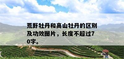 荒野牡丹和高山牡丹的区别及功效图片，长度不超过70字。