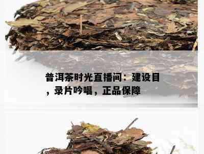 普洱茶时光直播间：建设目，录片吟唱，正品保障