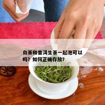 白茶和普洱生茶一起泡可以吗？如何正确存放？