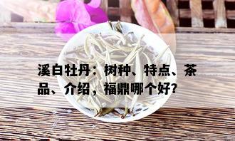 溪白牡丹：树种、特点、茶品、介绍，福鼎哪个好？