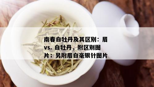 南春白牡丹及其区别：眉 vs. 白牡丹，附区别图片；另附眉白毫银针图片