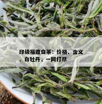 印级福鼎白茶：价格、含义、白牡丹，一网打尽