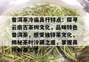 普洱茶冷庙高杆特点：探寻云南古茶树文化，品味特色普洱茶，感受独特茶文化，揭秘茶叶冷藏之道，掌握高杆制茶工艺。