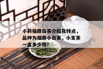 小莉福鼎白茶介绍及特点，品种为福鼎小白茶，小支茶一盒多少钱？