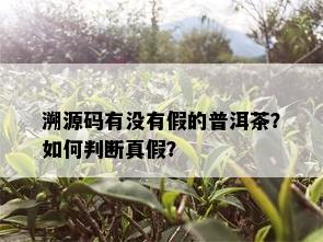 溯源码有没有假的普洱茶？如何判断真假？