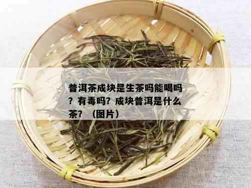 普洱茶成块是生茶吗能喝吗？有吗？成块普洱是什么茶？（图片）