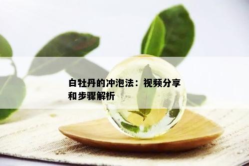 白牡丹的冲泡法：视频分享和步骤解析