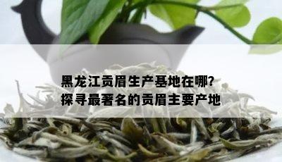 黑龙江贡眉生产基地在哪？探寻最著名的贡眉主要产地