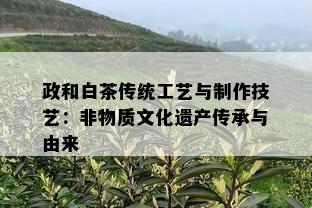 政和白茶传统工艺与制作技艺：非物质文化遗产传承与由来