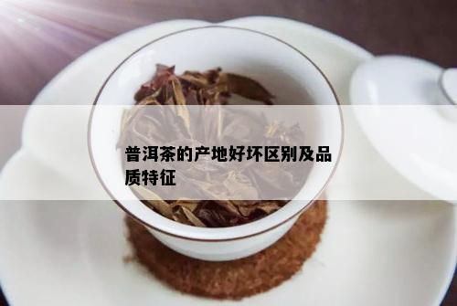 普洱茶的产地好坏区别及品质特征