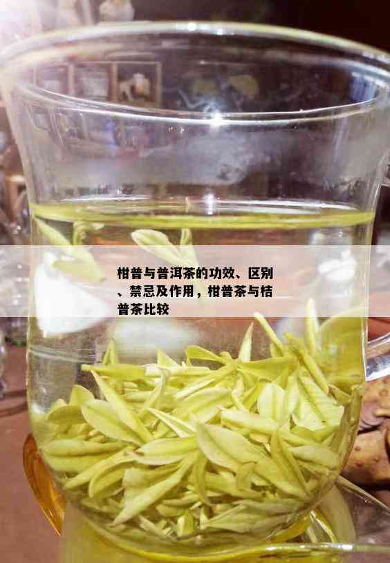 柑普与普洱茶的功效、区别、禁忌及作用，柑普茶与桔普茶比较