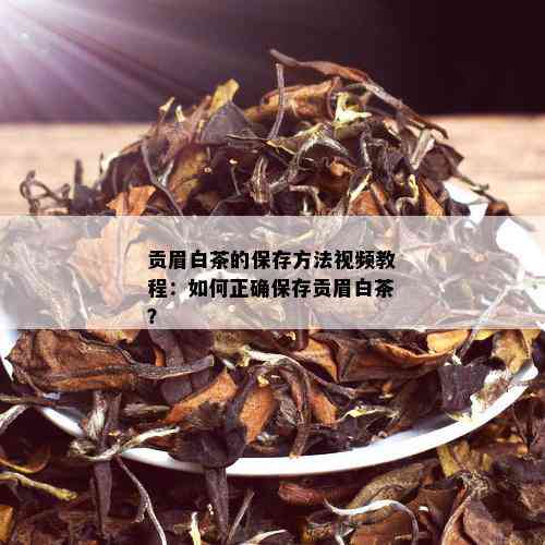 贡眉白茶的保存方法视频教程：如何正确保存贡眉白茶？