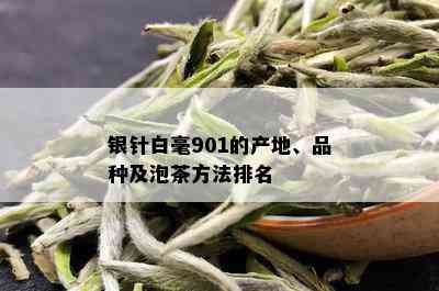 银针白毫901的产地、品种及泡茶方法排名