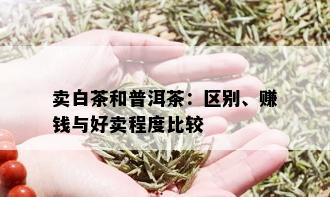 卖白茶和普洱茶：区别、赚钱与好卖程度比较