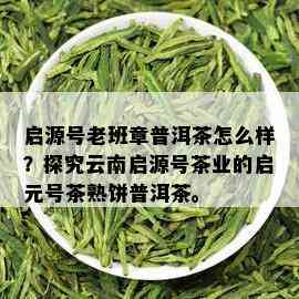 启源号老班章普洱茶怎么样？探究云南启源号茶业的启元号茶熟饼普洱茶。