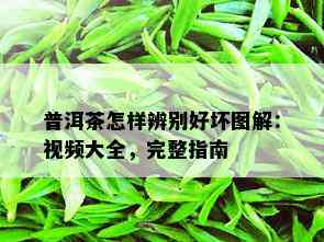 普洱茶怎样辨别好坏图解：视频大全，完整指南