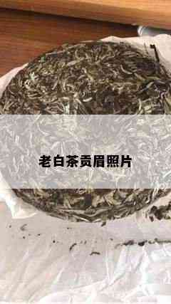 老白茶贡眉照片