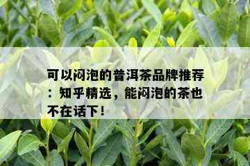 可以闷泡的普洱茶品牌推荐：知乎精选，能闷泡的茶也不在话下！