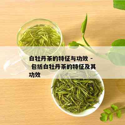 白牡丹茶的特征与功效 - 包括白牡丹茶的特征及其功效