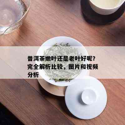 普洱茶嫩叶还是老叶好呢？完全解析比较，图片和视频分析