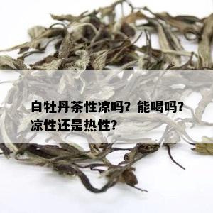 白牡丹茶性凉吗？能喝吗？凉性还是热性？